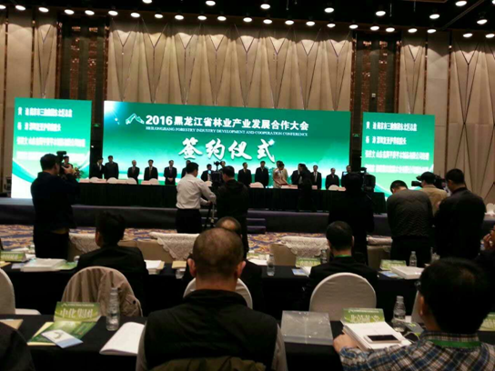 仟億達(dá)831999碳交易業(yè)界影響力較強(qiáng),副總田衛(wèi)然接受黑龍江廣播電視臺(tái)采訪