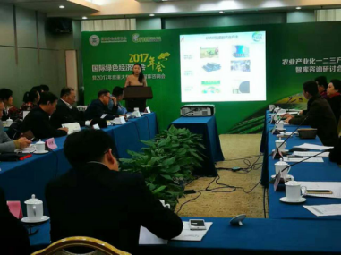 仟億達(dá)總裁王元圓在咨詢會(huì)上進(jìn)行代表性項(xiàng)目咨演 仟億達(dá)總裁王元圓在咨詢會(huì)上進(jìn)行代表性項(xiàng)目咨演