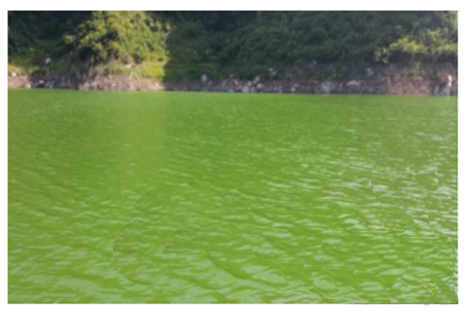 凈化水新技術 凈化水新技術